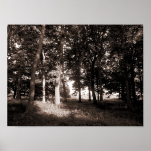 Póster Woods Bute Park, Cardiff II