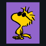 Póster Woodstock en gafas de sol<br><div class="desc">Echa un vistazo a este diseño super lindo con lentes de sol geniales de Woodstock.</div>