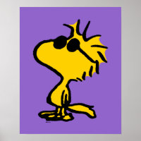Woodstock en gafas de sol
