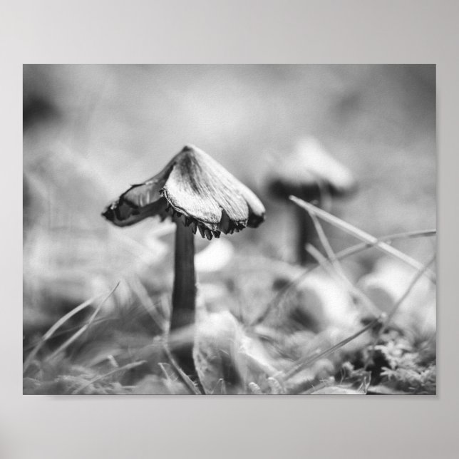 Póster Woodsy Mushroom Black and White Nature Archival (Frente)