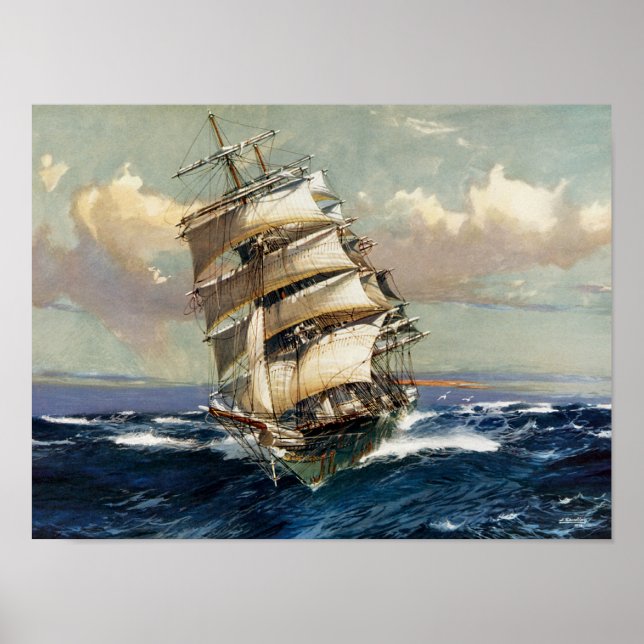 Póster Wool Clipper Satamis (Frente)