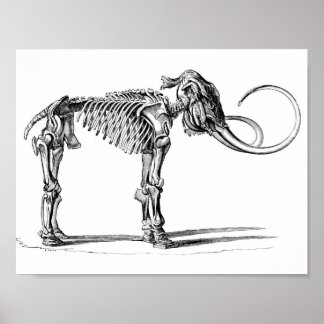 Póster Wooly Mammoth Poster