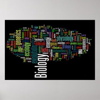 Póster Wordle de biología nº 5 negro