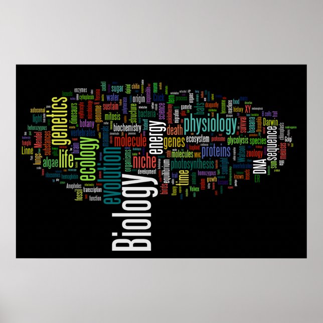 Póster Wordle de biología nº 5 negro (Frente)