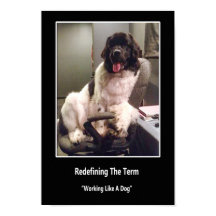 Working Like a Dog Poster