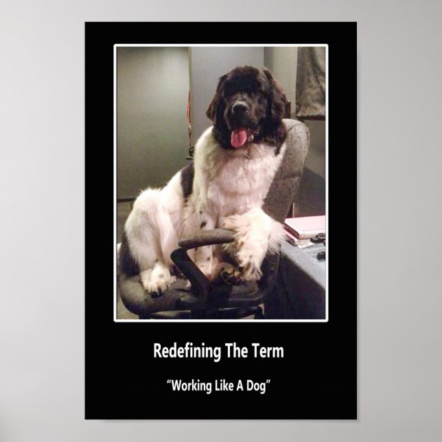 Póster Working Like a Dog Poster (Frente)