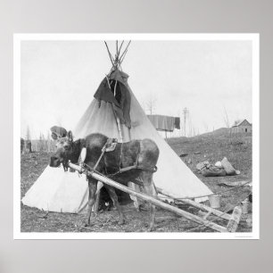 Póster Working Moose Teepee 1916