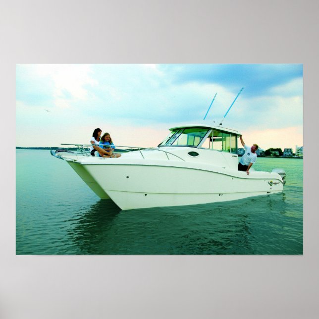 Póster World Cat 270EC (Frente)