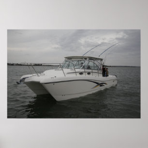 Póster World Cat 320EC