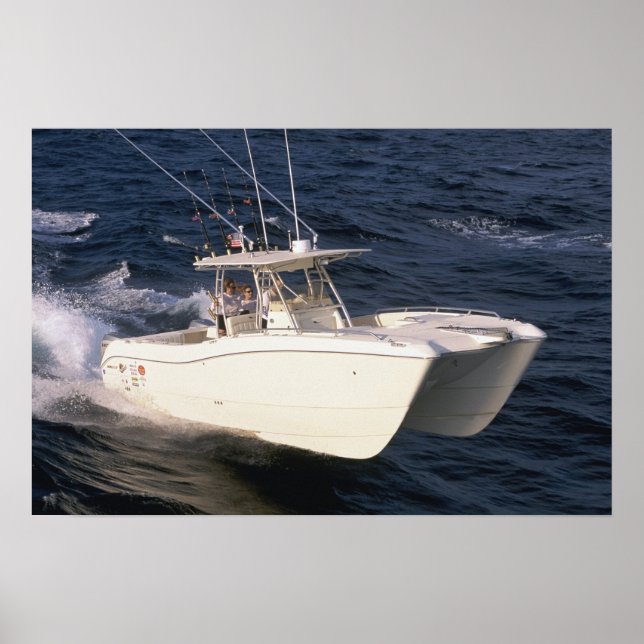 Póster World Cat 330TE (Frente)