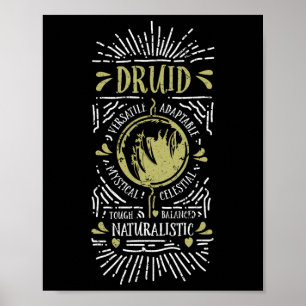 Póster Wow Druida Jugador de Rol 1