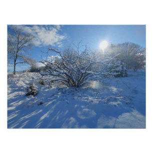Póster Wow es el Invierno de Contenido Artístico