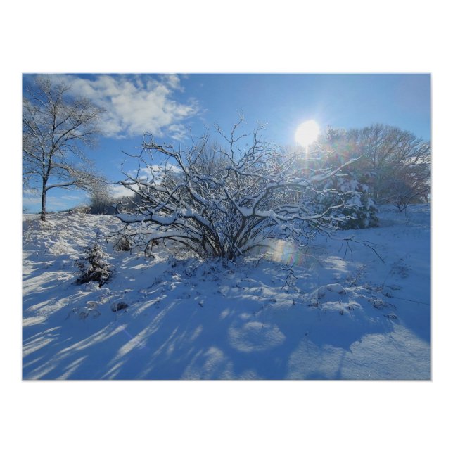 Póster Wow es el Invierno de Contenido Artístico (Anverso)