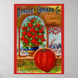 Póster WQ POSTER: Linterna china