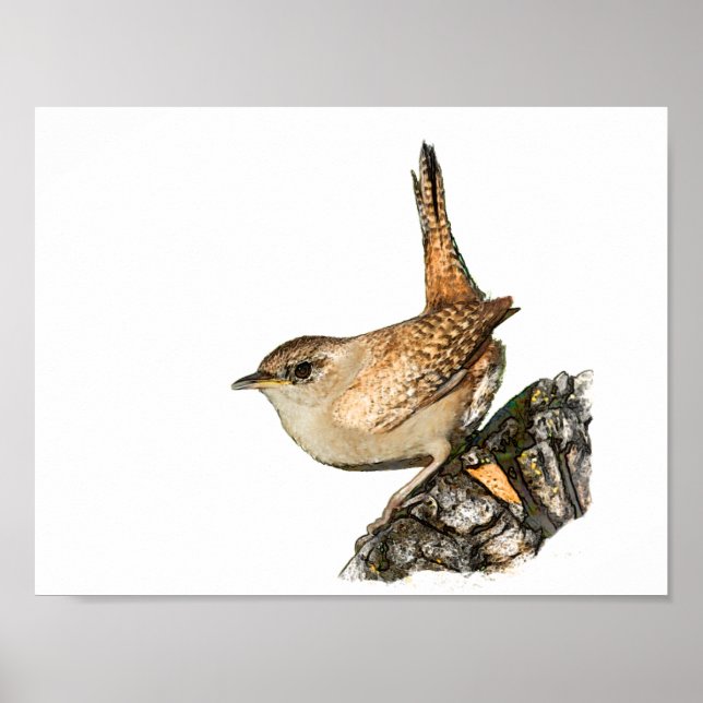 Póster Wren (Frente)