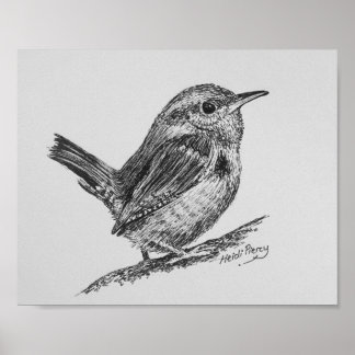 Póster Wren Bird Art Poster