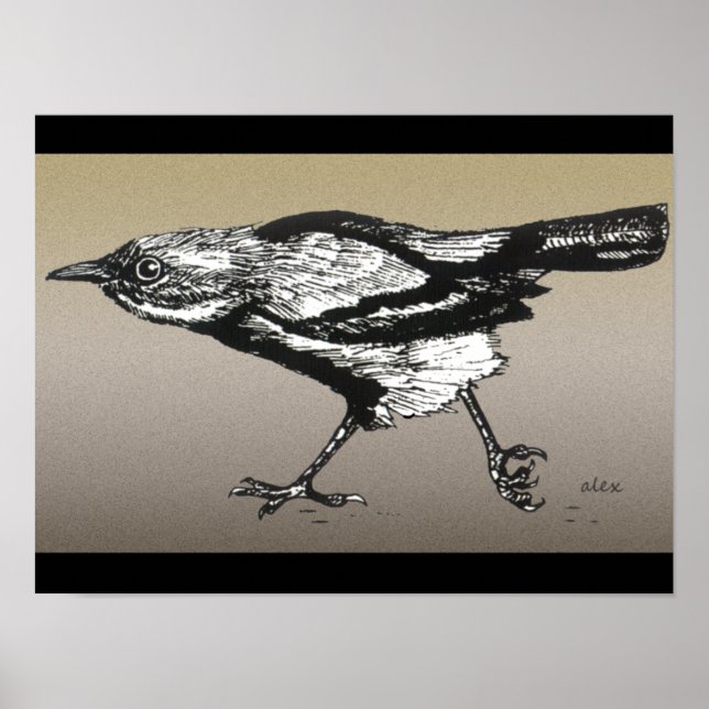 Póster Wren on the Run (Frente)