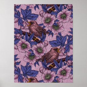 Póster Wren y hellebore, rosa y violeta