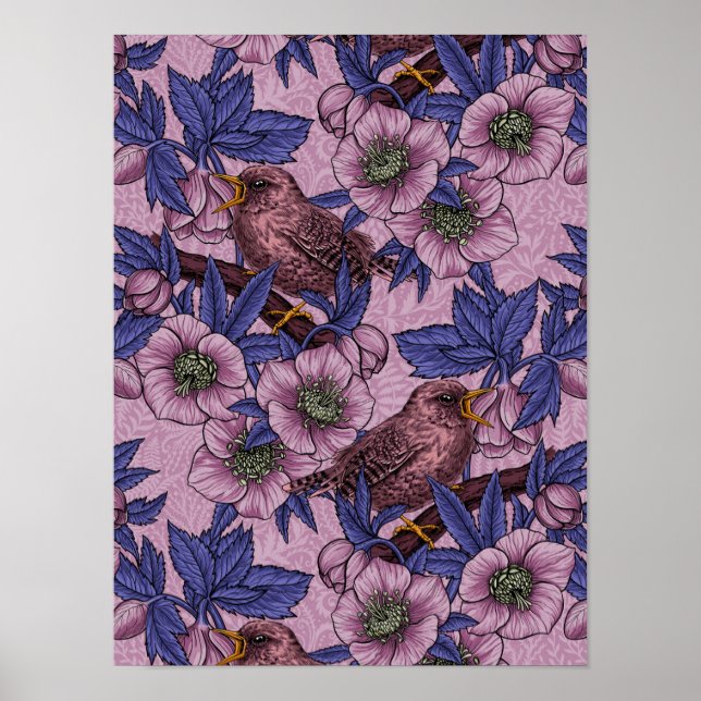 Póster Wren y hellebore, rosa y violeta (Frente)
