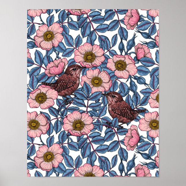 Póster Wrens en los rosas (Frente)