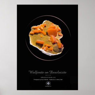 PÓSTER WULFENITE
