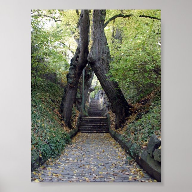 Póster Wurzburg (Alemania) (Frente)