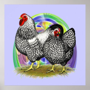 Póster Wyandotte: Pareja de Huevos de Pascua