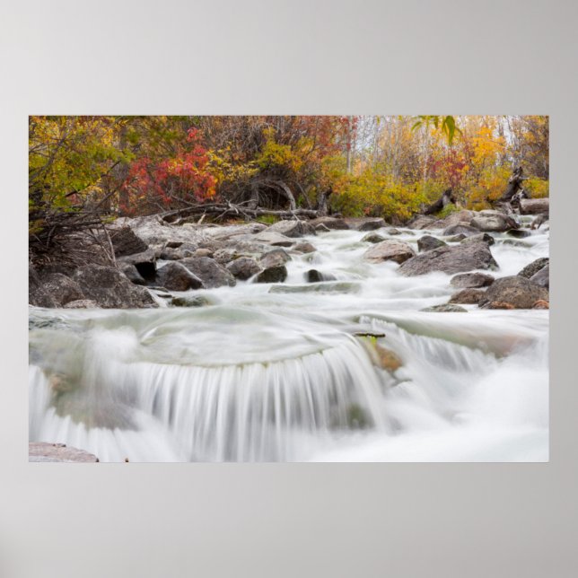 Póster Wyoming, Sublette County, Pine Creek flowing (Frente)