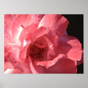 Póster X12 del poster 16