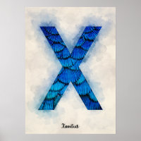 X es para Xantus