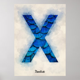 Póster X es para Xantus