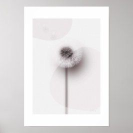 Póster X-ray Botanical Art - Dandelion