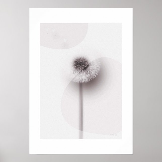 Póster X-ray Botanical Art - Dandelion (Frente)