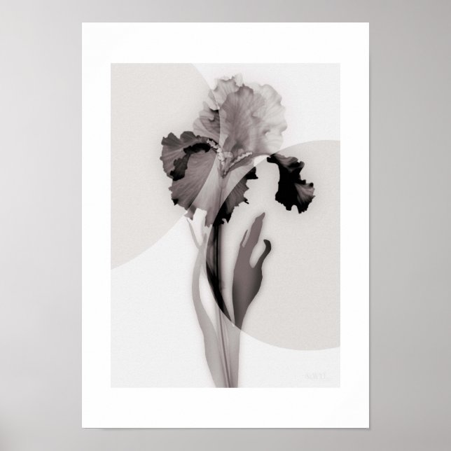 Póster X-ray Botanical Art - Iris (Frente)