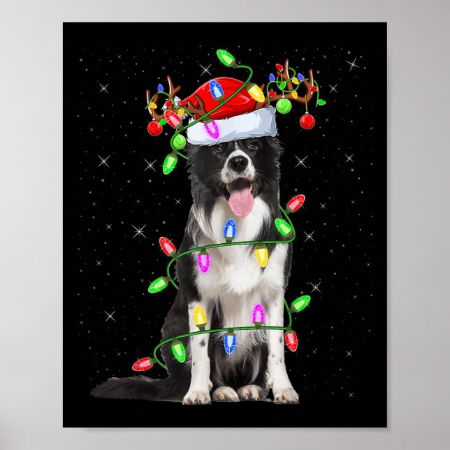 Póster Xmas Holiday Lighting Santa Border Collie Dog Chri (Frente)