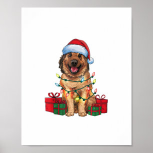 Póster Xmas Iluminación Santa Hat Anatolian Pastor Chr
