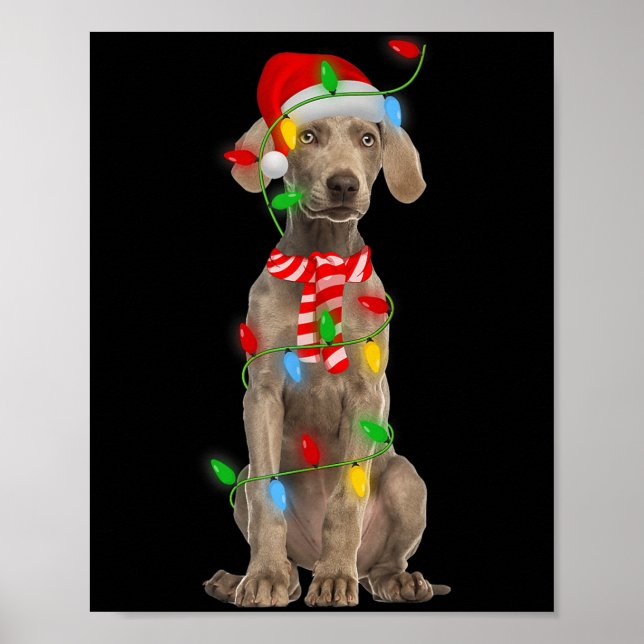Póster Xmas Lighting Holiday Santa Weimaraner Dog Christm (Frente)