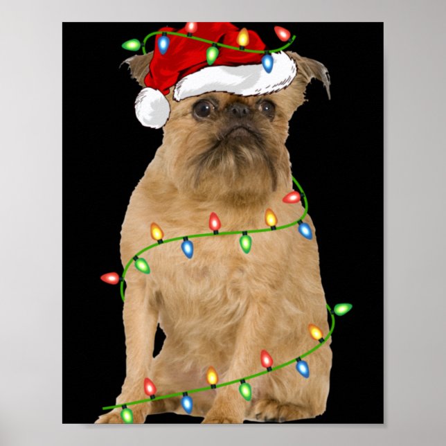 Póster Xmas Lights Santa Hat Brussels Griffon Dog Christm (Frente)