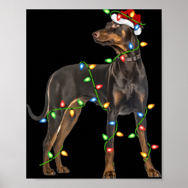Póster Xmas Lights Santa Hat Doberman Nscher Dog Christ  (Frente)