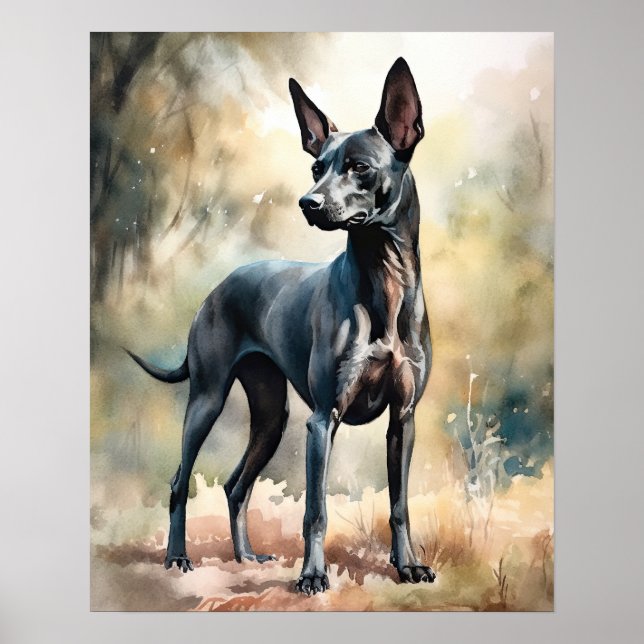 Póster Xoloitzcuintli Dog Art Print Poster (Frente)