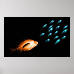 PÓSTER XRAY FISH CHASE ORIGINAL NEGRO