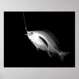 PÓSTER XRAY HOOK FISH BLANCO NEGRO