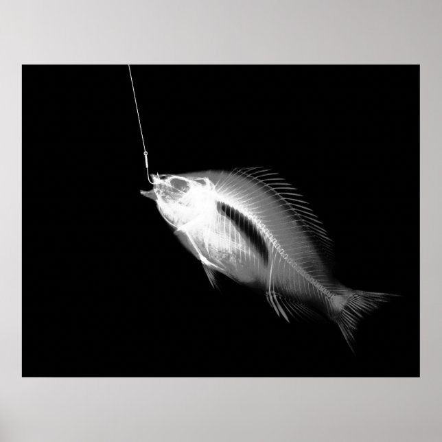 PÓSTER XRAY HOOK FISH BLANCO NEGRO (Frente)