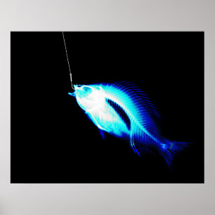 PÓSTER XRAY HOOK FISH NEON BLUE