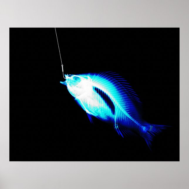 PÓSTER XRAY HOOK FISH NEON BLUE (Frente)