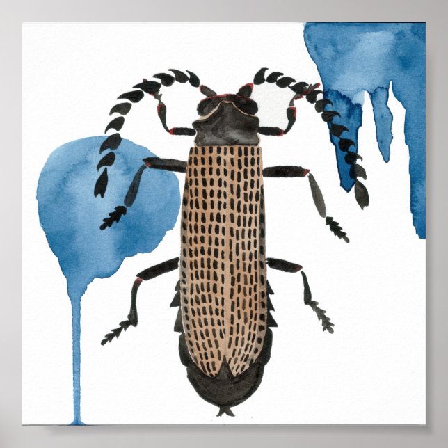 Póster Xylobanus Japonicus (Frente)