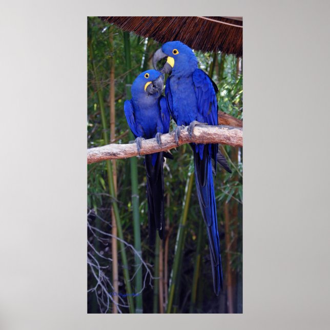 Póster Y Entonces Dije (Frente)