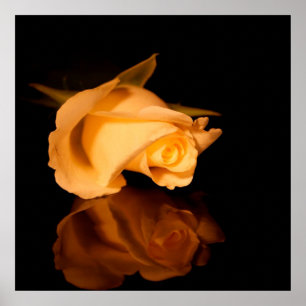 Póster Y Sé Mi Valentín lona de amante
