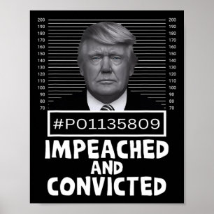 Póster Y Sentenciado Felon 45 Divertido Mugshot Anti Trum
