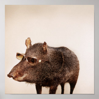 Póster ¿Y tú lo eres?